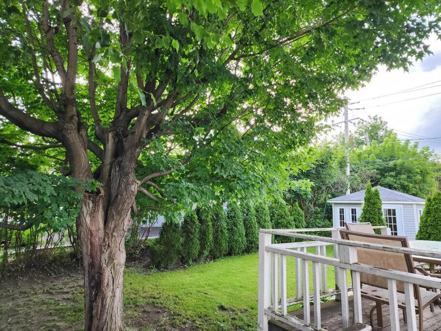 Hébergement de vacances Timeless Tranquility, A Place Near Everything! Longueuil